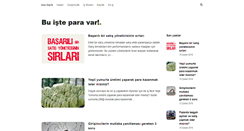 Desktop Screenshot of buisteparavar.com